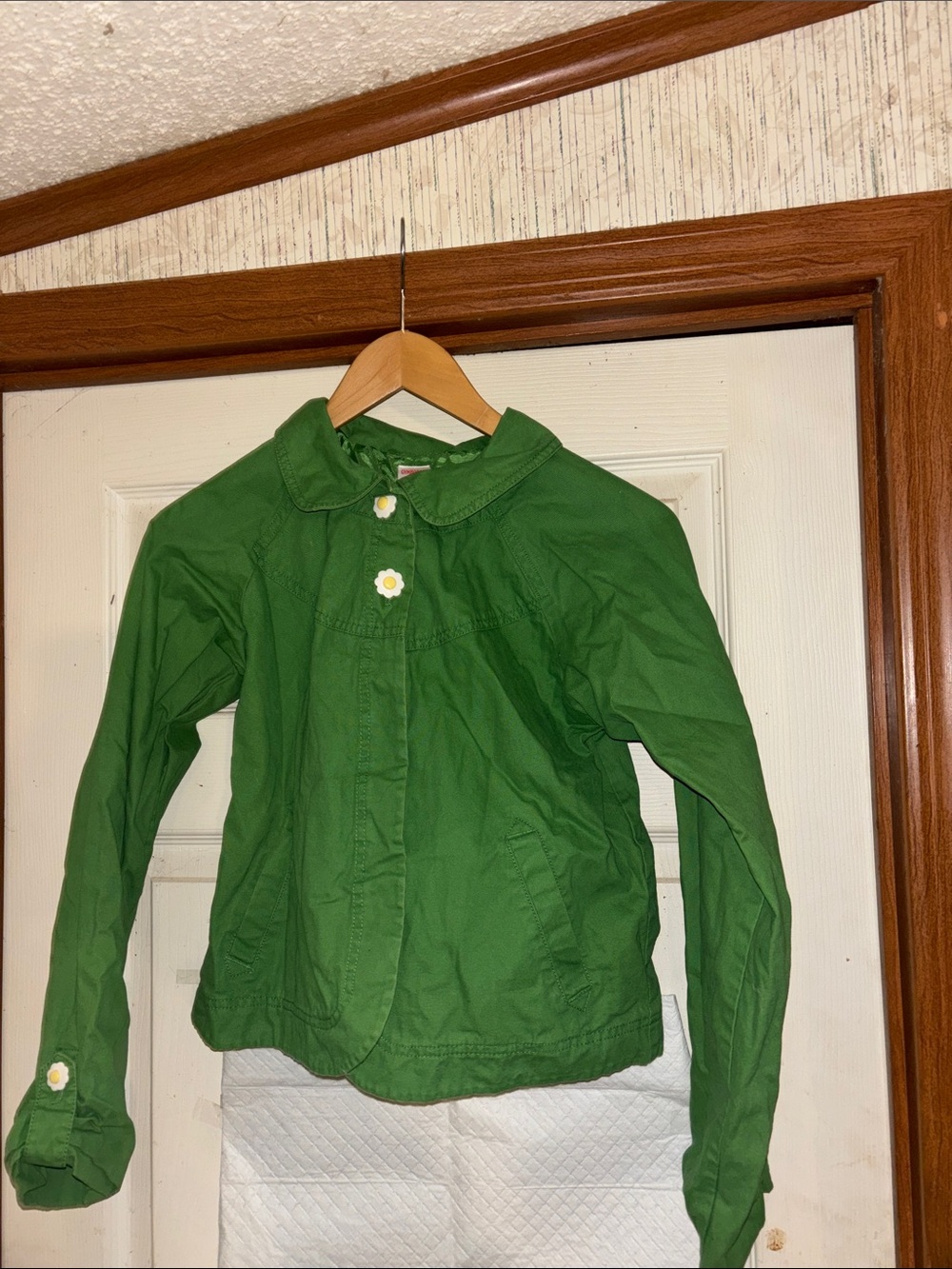 Gymboree Green Girls' Button Jacket with Daisy Buttons